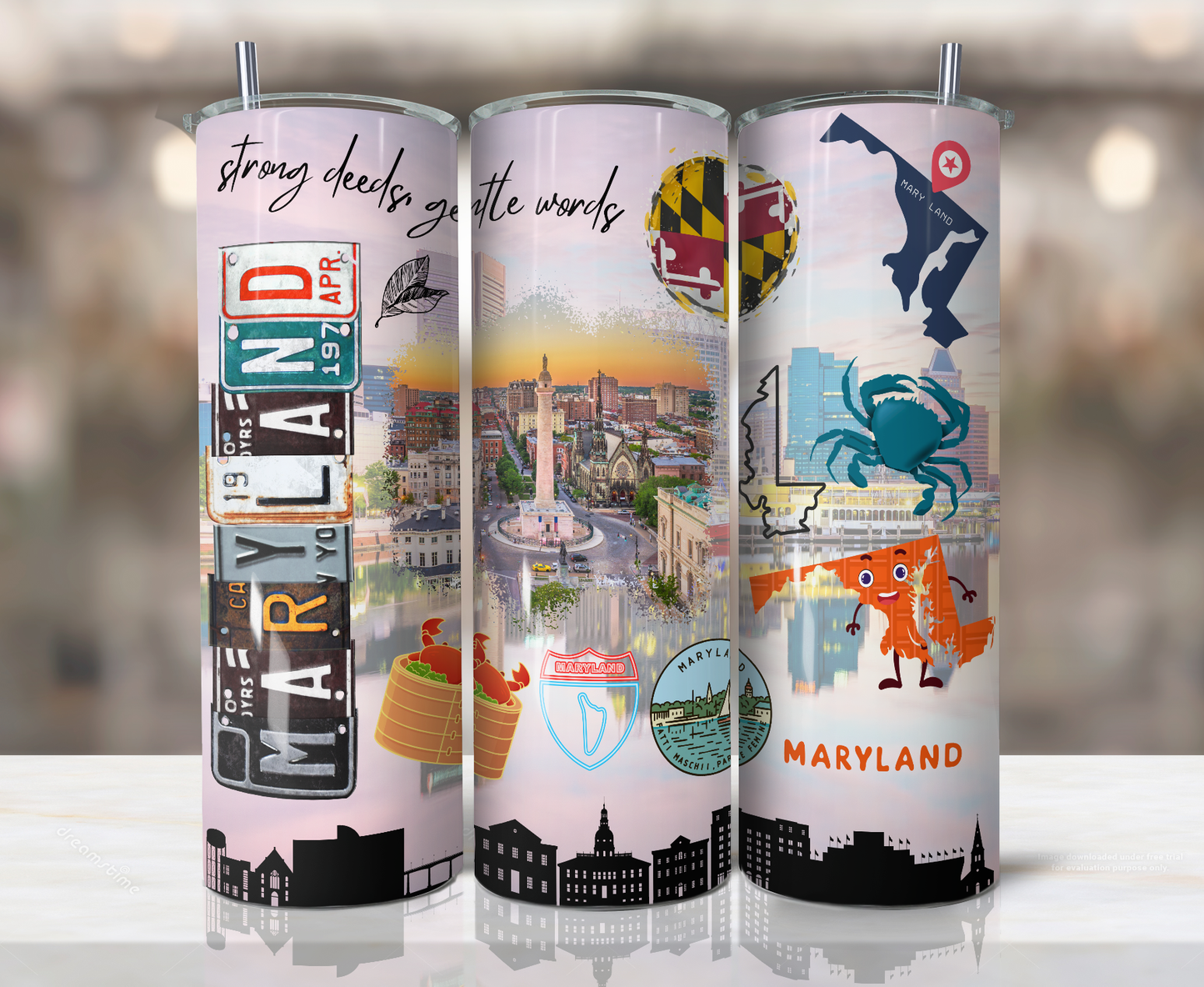 20oz Stainless Steel Tumbler - United States - Maryland