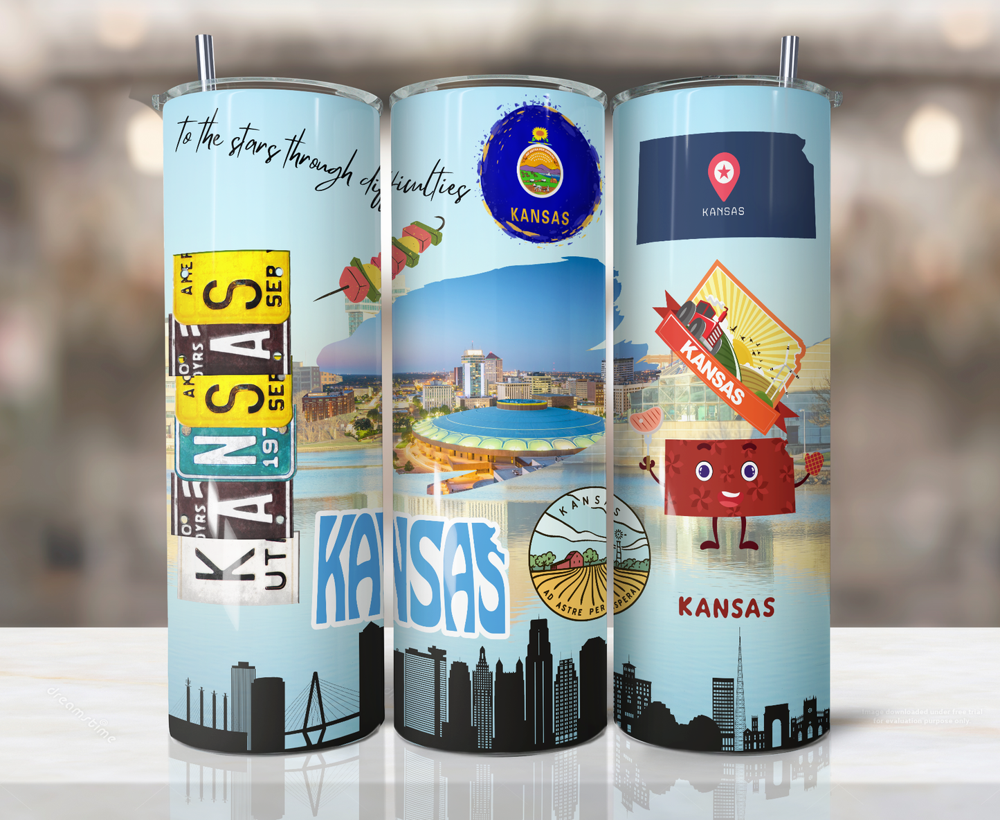 20oz Stainless Steel Tumbler - United States - Kansas