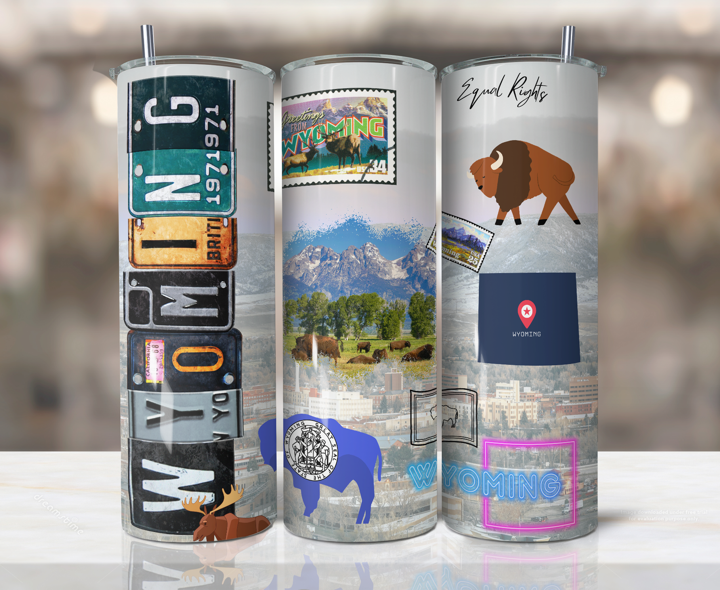20oz Stainless Steel Tumbler - United States - Wyoming