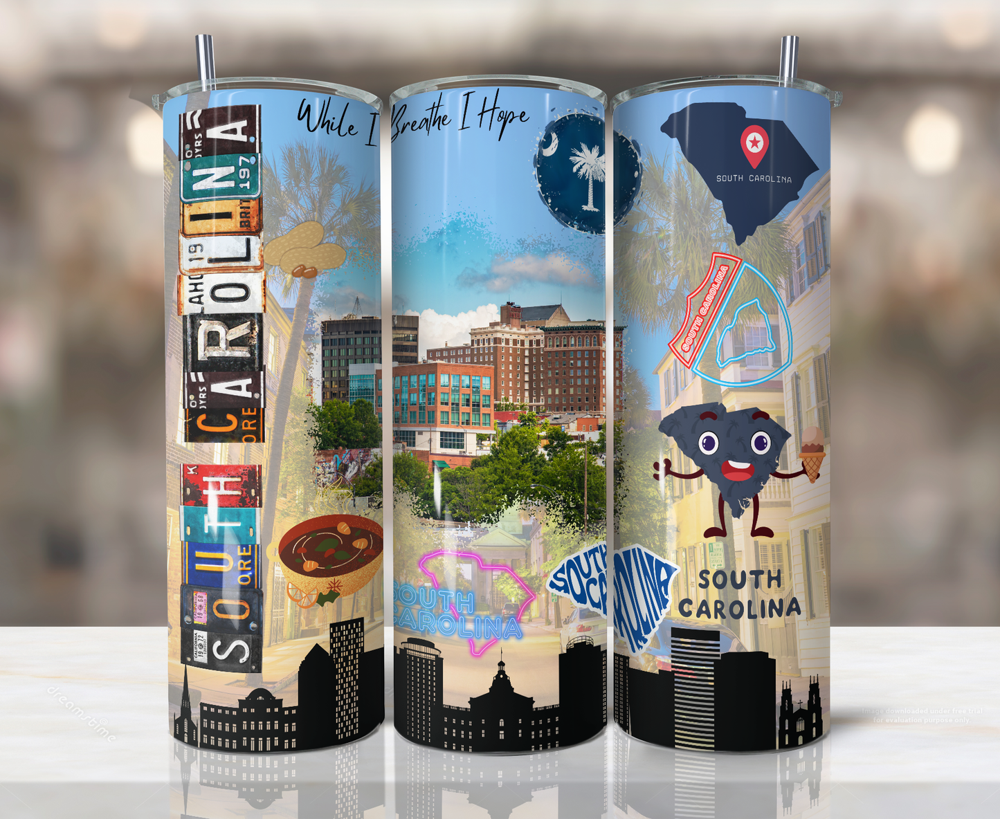 20oz Stainless Steel Tumbler - States-South Carolina