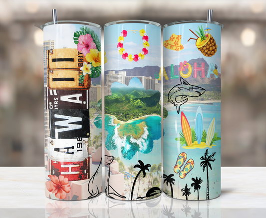 20oz Stainless Steel Tumbler - United States - Hawaii