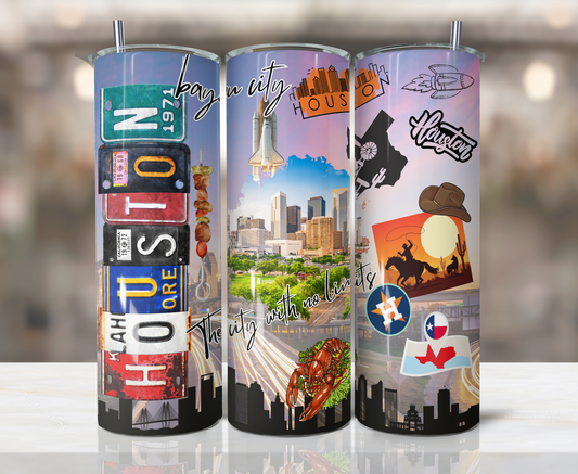 20oz Stainless Steel Tumbler - Houston