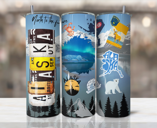 20oz Stainless Steel Tumbler - United States - Alaska